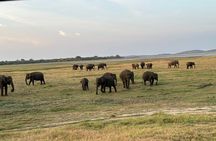 12 Days Tour Grand Discovery of Sri Lanka
