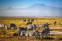 Two Days Amboseli National Park Safari