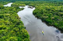  Iquitos: 2 Day Amazon Rainforest Discovery - Iquitos Jungle Tour