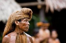 Iquitos: Jungle Exploration Amazon 3D/2N - All included