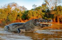 Iquitos: Jungle Exploration Amazon 3D/2N - All included