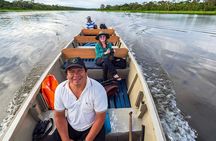  Iquitos: 2 Day Amazon Rainforest Discovery - Iquitos Jungle Tour