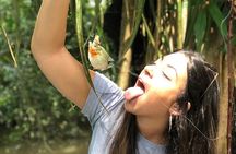 Iquitos: Jungle Exploration Amazon 3D/2N - All included