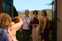 Chianti Wine Tour with Tastings Semi-Private Experience