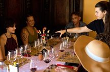 Chianti Wine Tour with Tastings Semi-Private Experience