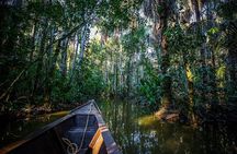 Amazon Expedition 4 Days of Rainforest Amazon from Iquitos 