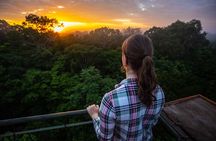 Iquitos: Pacaya Samiria National Reserve Amazon Tour | 3D/2N 