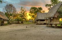 Amazon Expedition 4 Days of Rainforest Amazon from Iquitos 