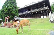 Kyoto Arashiyama Fushimi Inari Taisha Shrine and Nara Park Tour