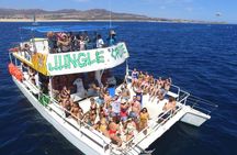 Cabo Catamaran – La Tortuga Snorkeling Tour & Coastal Views