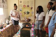 Tropical Experience in Roatan: Animals, Chocolate, and Rum