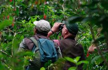 Puerto Maldonado: 2 Days Sandoval Tour - Tambopata Amazon Jungle