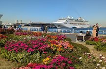 Yokohama Private Tour
