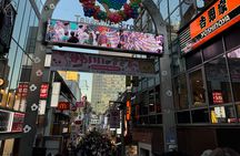 Shibuya and Harajuku Highlights Walking Tour
