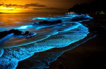 Twiligth Sea Canoe and Bioluminescent Plankton