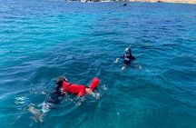 Snorkeling en San José del Cabo 
