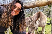 Penguin Parade, & Wildlife Encounters Eco Tour from Melbourne