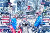 [VIP] Private Group Tokyo City Go-Kart Experience Tour! [90mins]