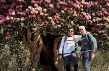 Annapurna Base Camp Trekking