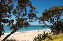 Coromandel Cathedral Cove Walk & Hot Water Beach Day Tour