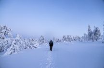 Lapland Snowshoe Adventure – Explore Wild Arctic Trails 