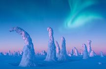 Lapland Snowshoe Adventure – Explore Wild Arctic Trails 