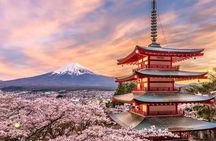 Fuji and Hakone Private Tour with English Guide and Photography