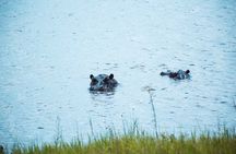 Safari and Sunrise Boat Cruise in Akagera National Park
