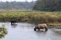 Kathmandu 2 Nights 3 Days Chitwan Jungle Safari Tour 