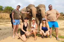  Cambodia Elephants Haft Day Experiences from Siem Reap