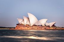 Sydney Street Food Tour with 6 Tastings & Drink by a Local Guide