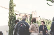 Granada Hybrid Walking Tour: Albayzin and Sacromonte