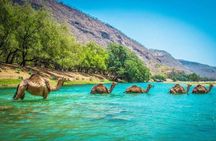 East of Salalah, Mountain Safari, Camels, Waterfall, White beach