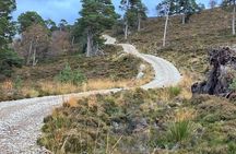 A scenic guided walk through Royal Deeside’s Private Premium Tour