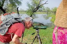 From Jaipur: Bird Safari and Agra sightseeing All-Inclusive