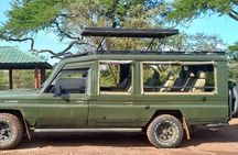 Nairobi National Park Guided Game Drive Wildlife Experience