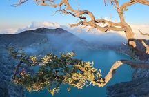 4 Days Private car from Yogyakarta: Tumpaksewu, Mount Bromo, Ijen