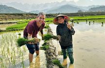 3-Day Sapa Trek, visit Fansipan (cable car) from Hanoi with local