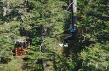 Alpine Zipline Adventure in Juneau, AK