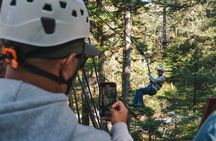 Alpine Zipline Adventure in Juneau, AK
