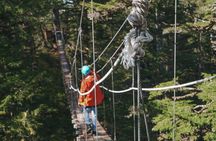 Alpine Zipline Adventure in Juneau, AK