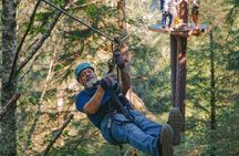 Rainforest Canopy & Zipline Adventure in Ketchikan, AK