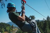 Rainforest Canopy & Zipline Adventure in Ketchikan, AK