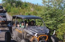 Adventure Kart Expedition- Ketchikan, AK