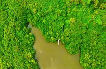 Colombo to Galle All Inclusive Private Day Tour 