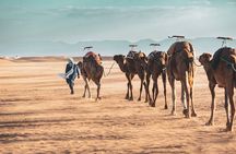2day Shared tour to zagora desert via Atlas mountains