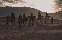 2day Shared tour to zagora desert via Atlas mountains