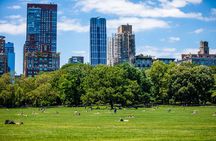Official Central Park Walking Tour
