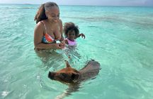 All Inclusive Pig Encounter, Snorkeling, Turtles, Lunch & Beach
