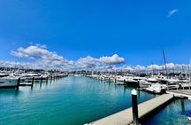 Full-Day Auckland Discovery